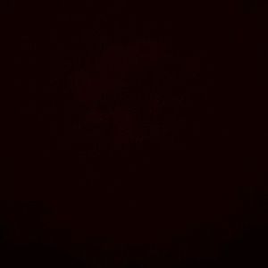 Meet your Posher, Rafael